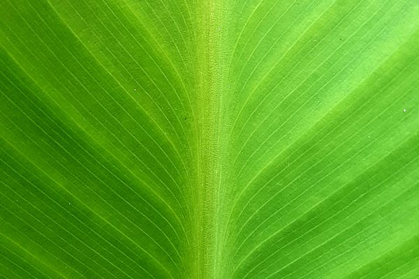 Hair salon styling station